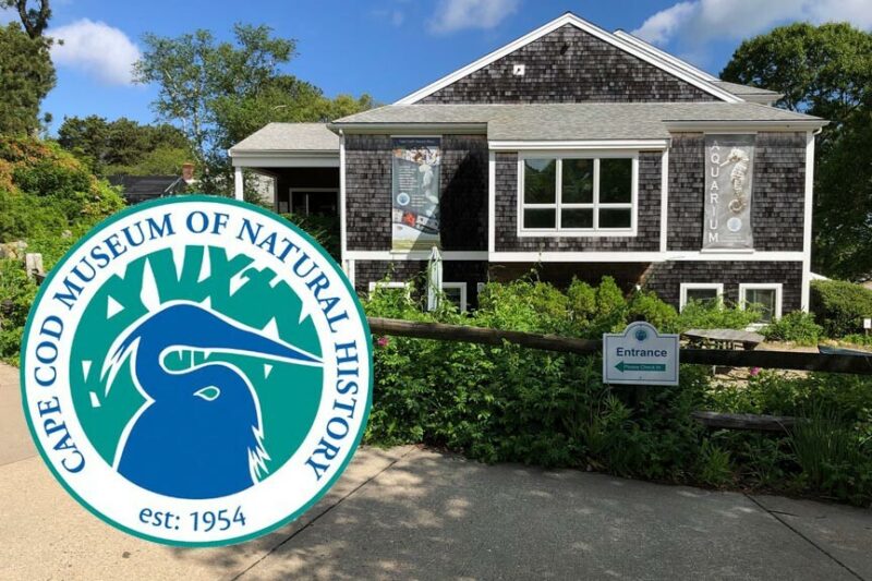 The Cape Cod Museum of Natural History Bayside Resort
